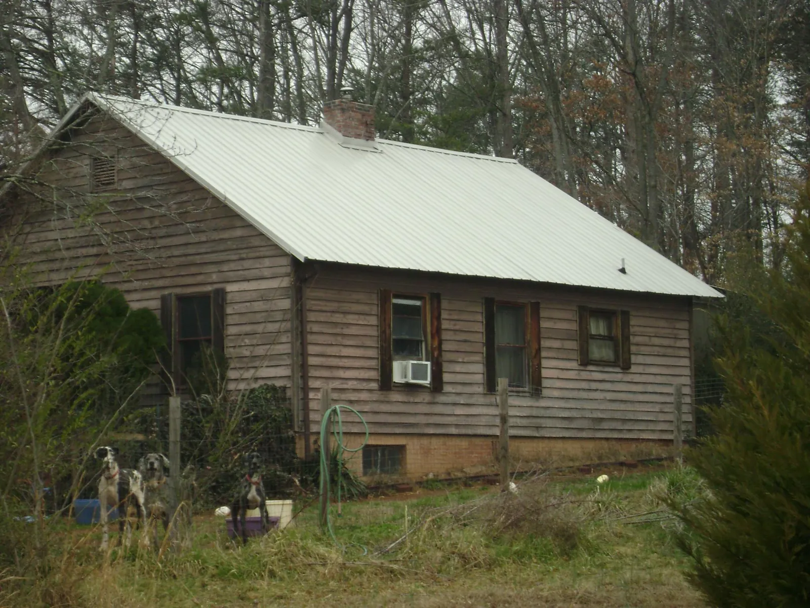 White metal roof on an old wood sided farmhouse, from a Asphalt Shingle Roof Repair job in Peabody